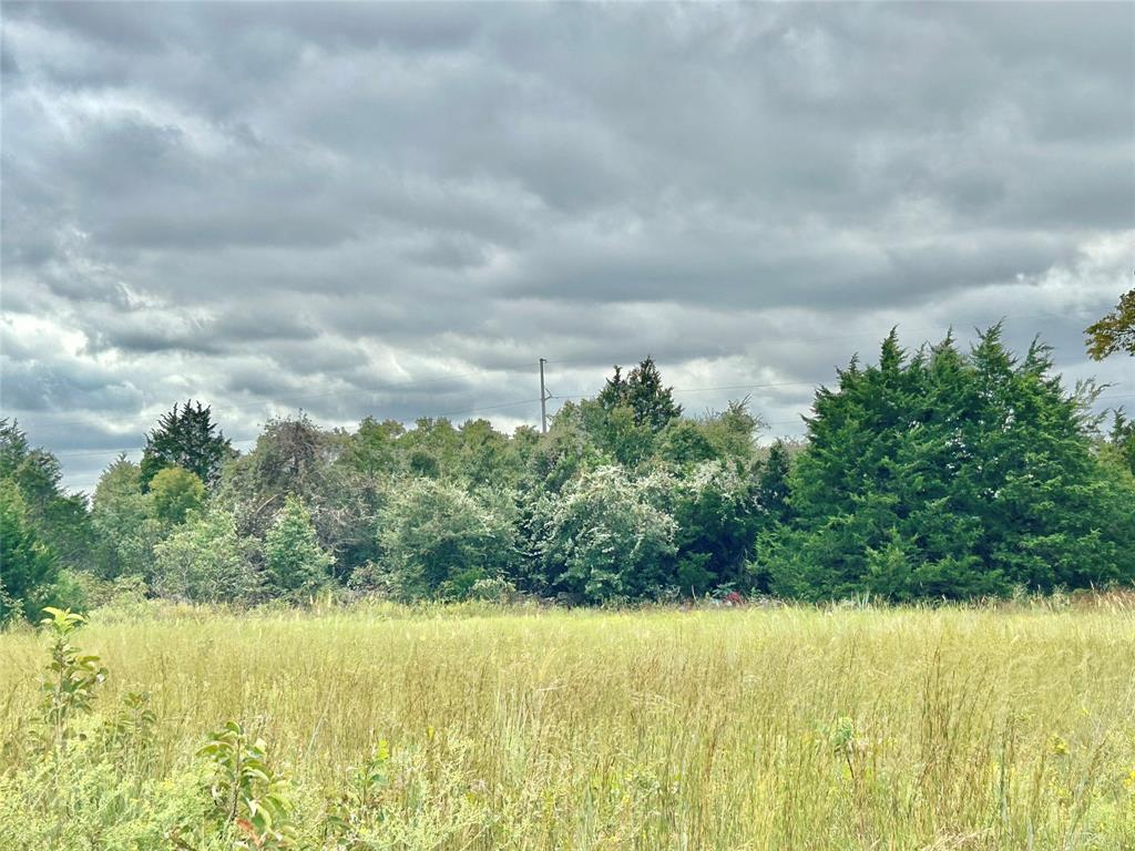 3211 Fm 678 Property Photo 21