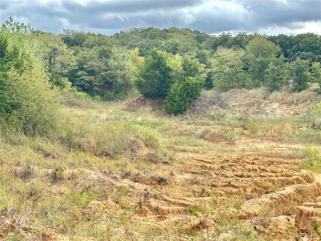 3211 Fm 678 Property Photo 24