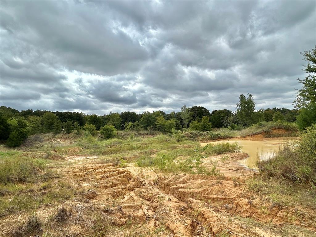 3211 Fm 678 Property Photo 25