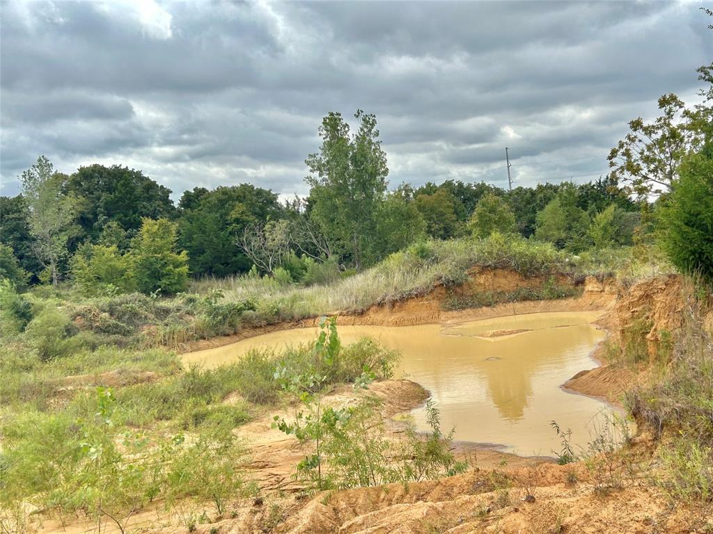 3211 Fm 678 Property Photo 26