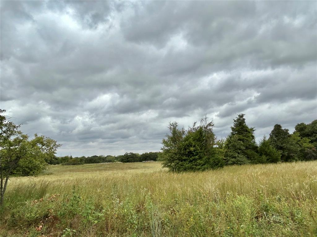 3211 Fm 678 Property Photo 27