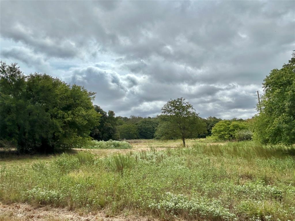 3211 Fm 678 Property Photo 28