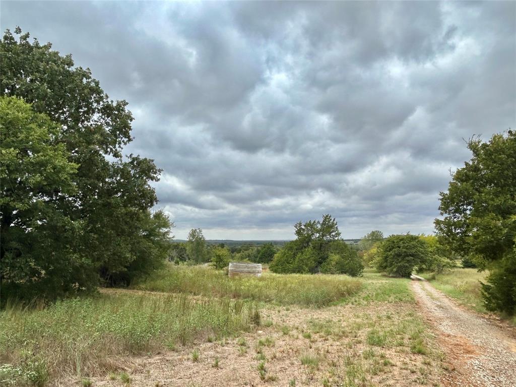 3211 Fm 678 Property Photo 29