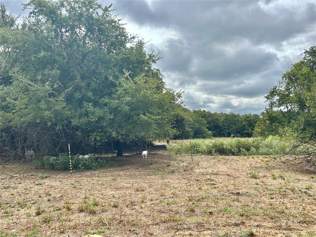 3211 Fm 678 Property Photo 30