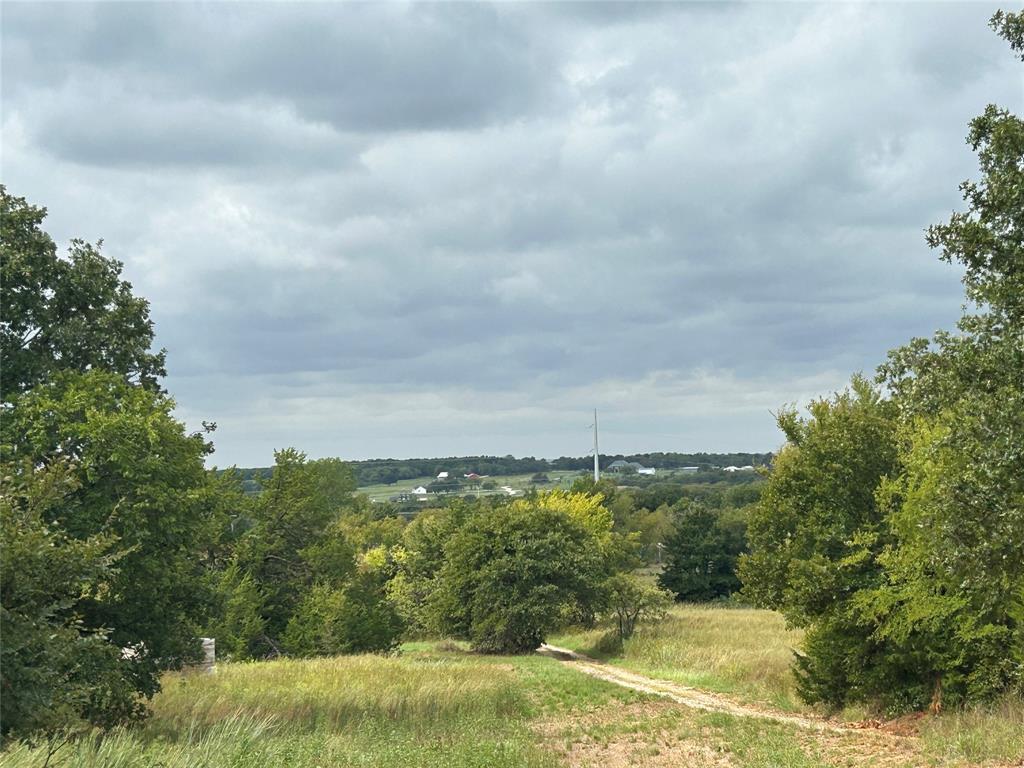 3211 Fm 678 Property Photo 31