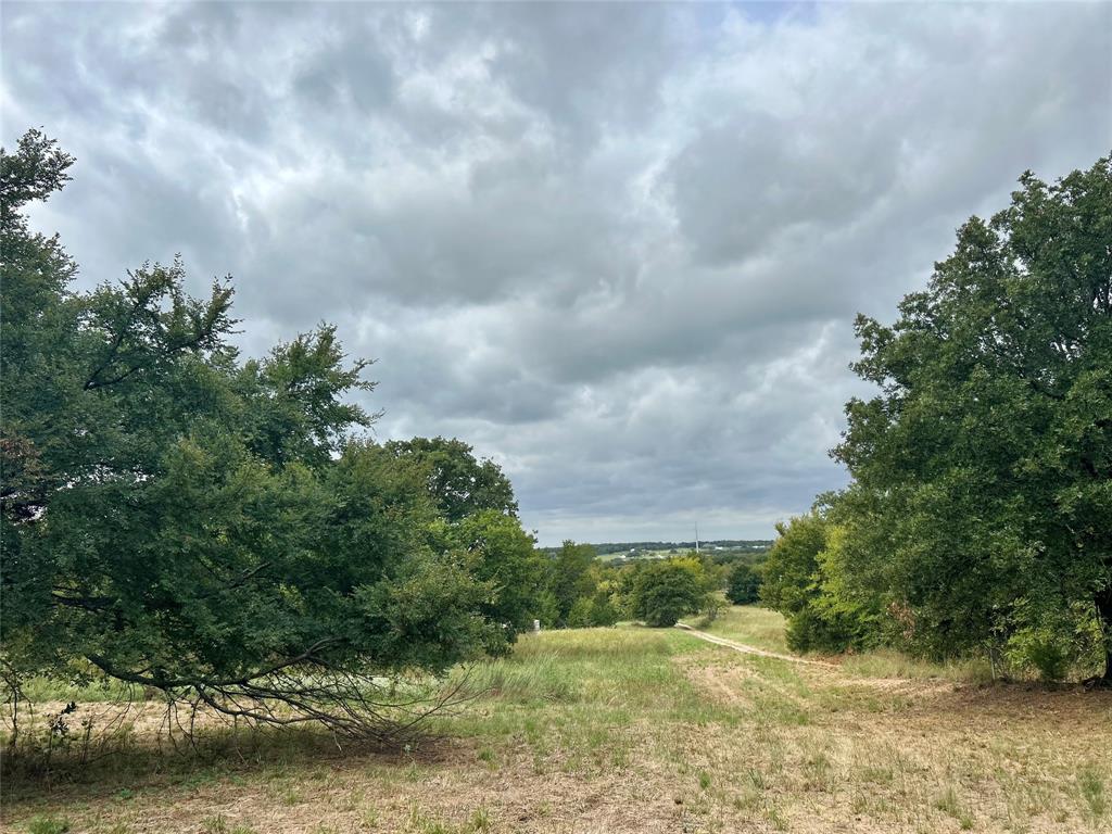 3211 Fm 678 Property Photo 32
