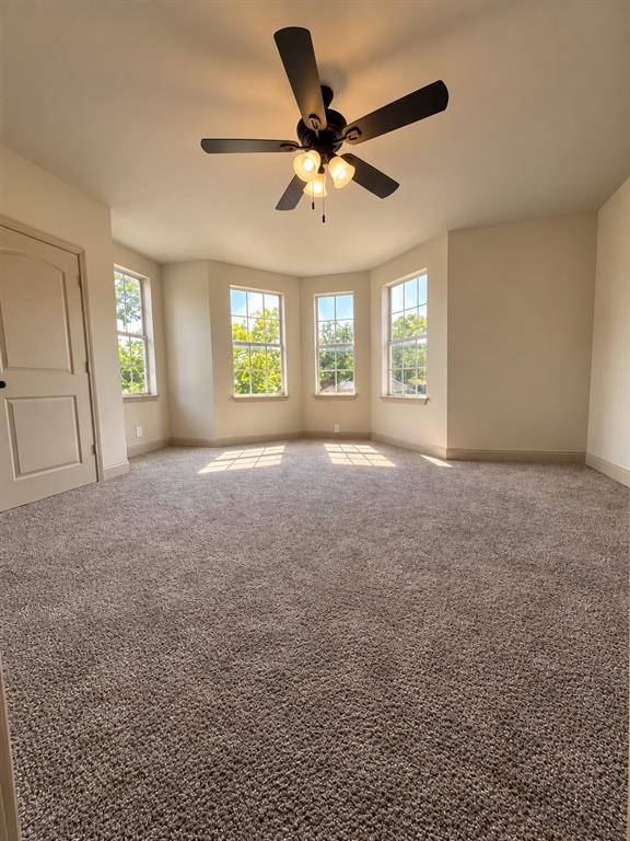 708 Essex Street Property Photo 20