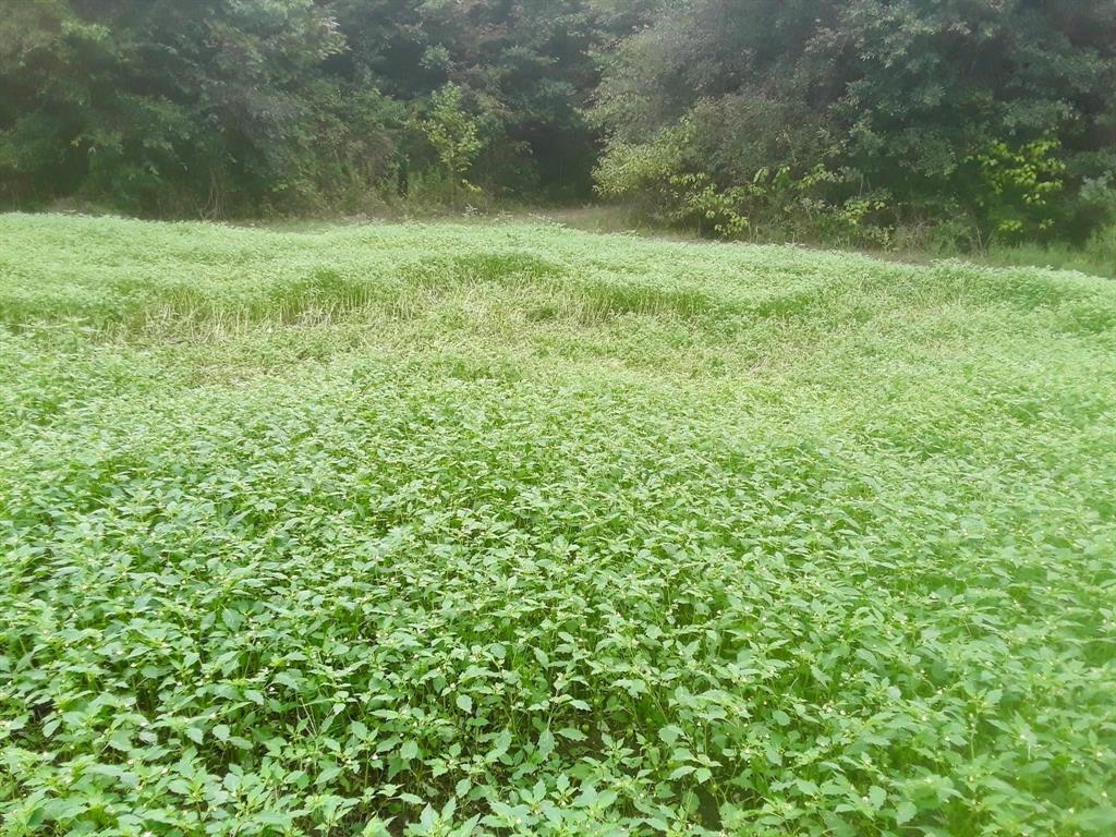 Tbd Shawnee Property Photo 1