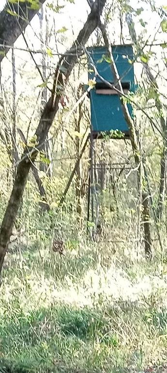 Tbd Shawnee Property Photo 4