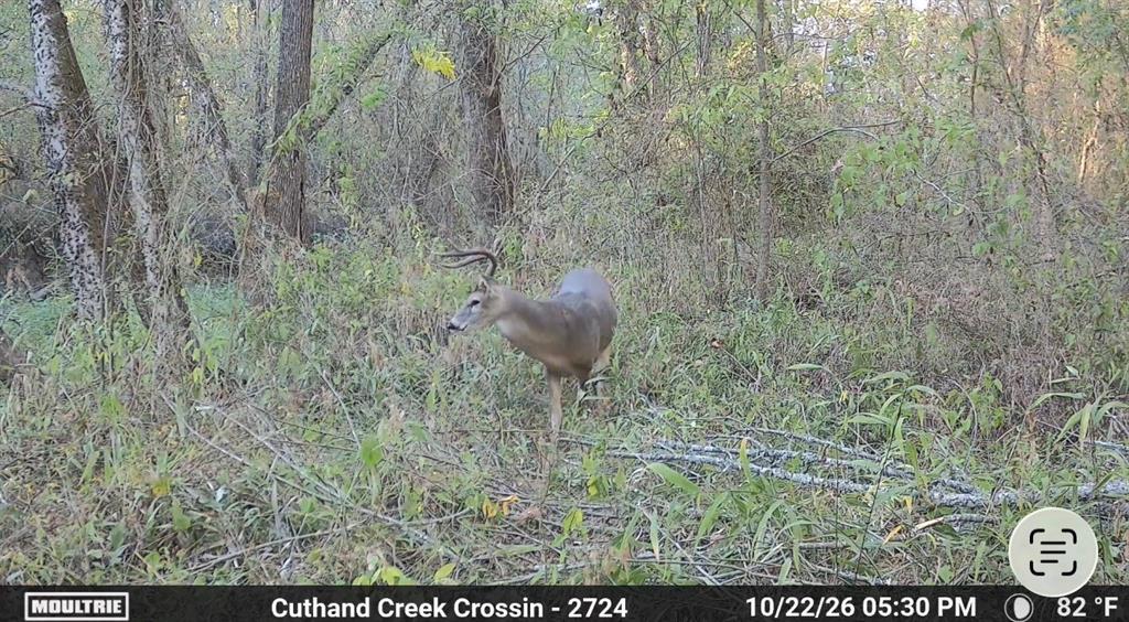 Tbd Shawnee Property Photo 13