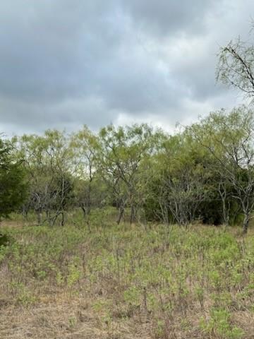 1483 County Road 2435 Property Photo 2