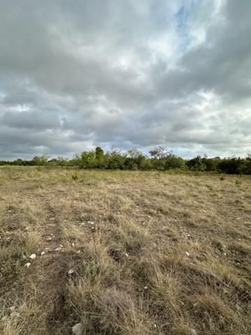 1483 County Road 2435 Property Photo 4