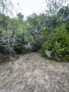 1483 County Road 2435 Property Photo 6