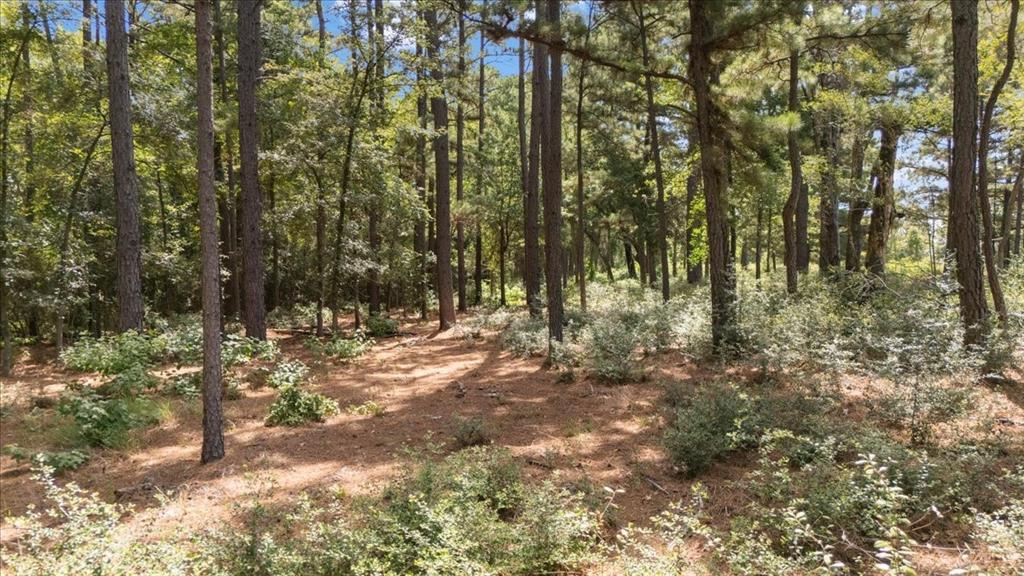 Tract 4 Fm 1002 Property Photo 3