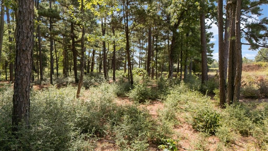 Tract 4 Fm 1002 Property Photo 4