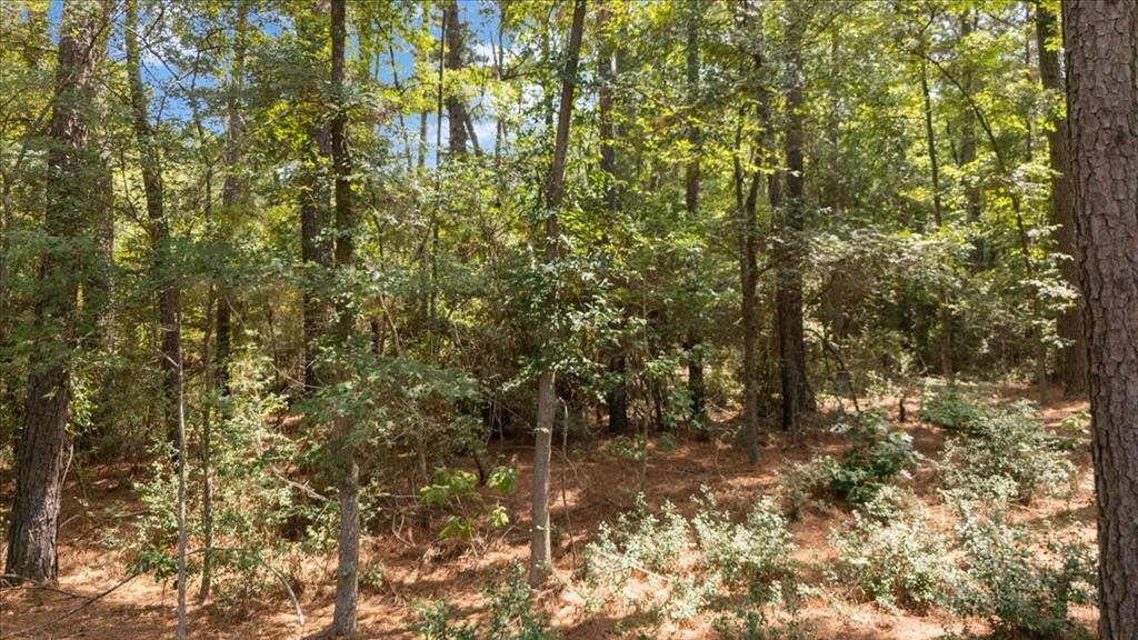 Tract 4 Fm 1002 Property Photo 5