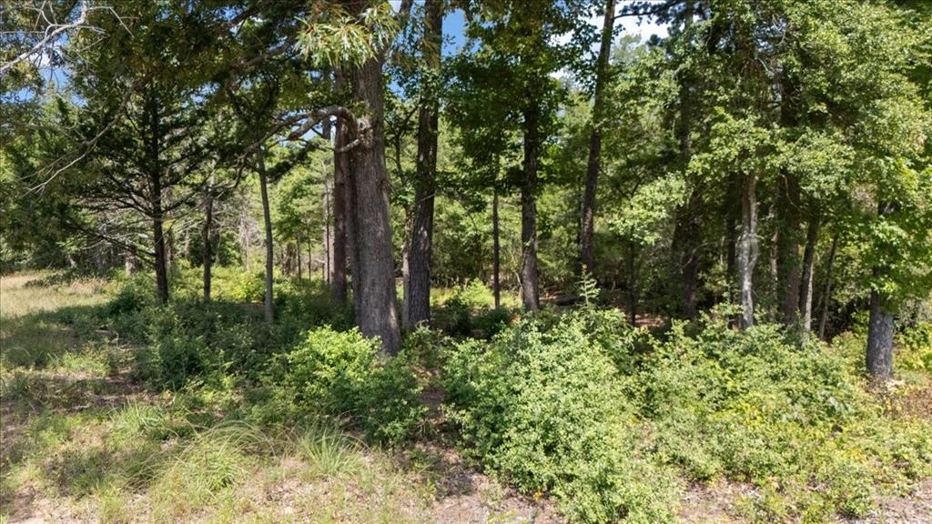 Tract 4 Fm 1002 Property Photo 13