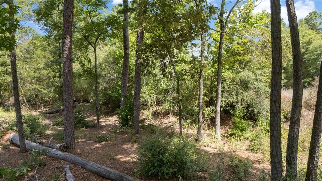 Tract 4 Fm 1002 Property Photo 14