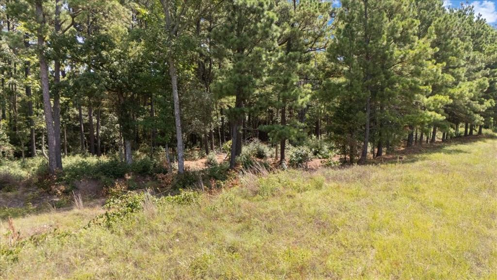 Tract 4 Fm 1002 Property Photo 15