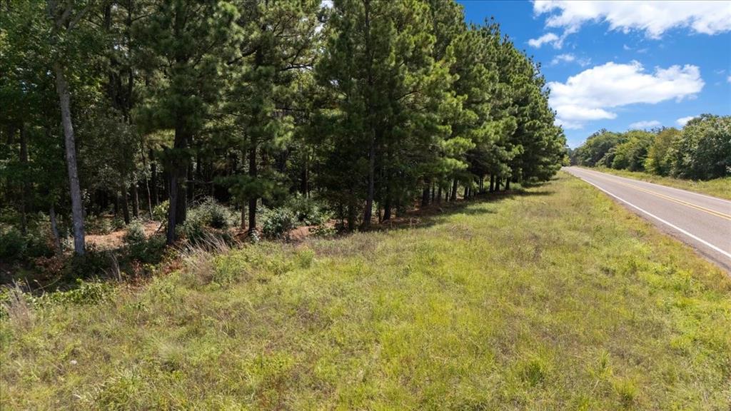 Tract 4 Fm 1002 Property Photo 16