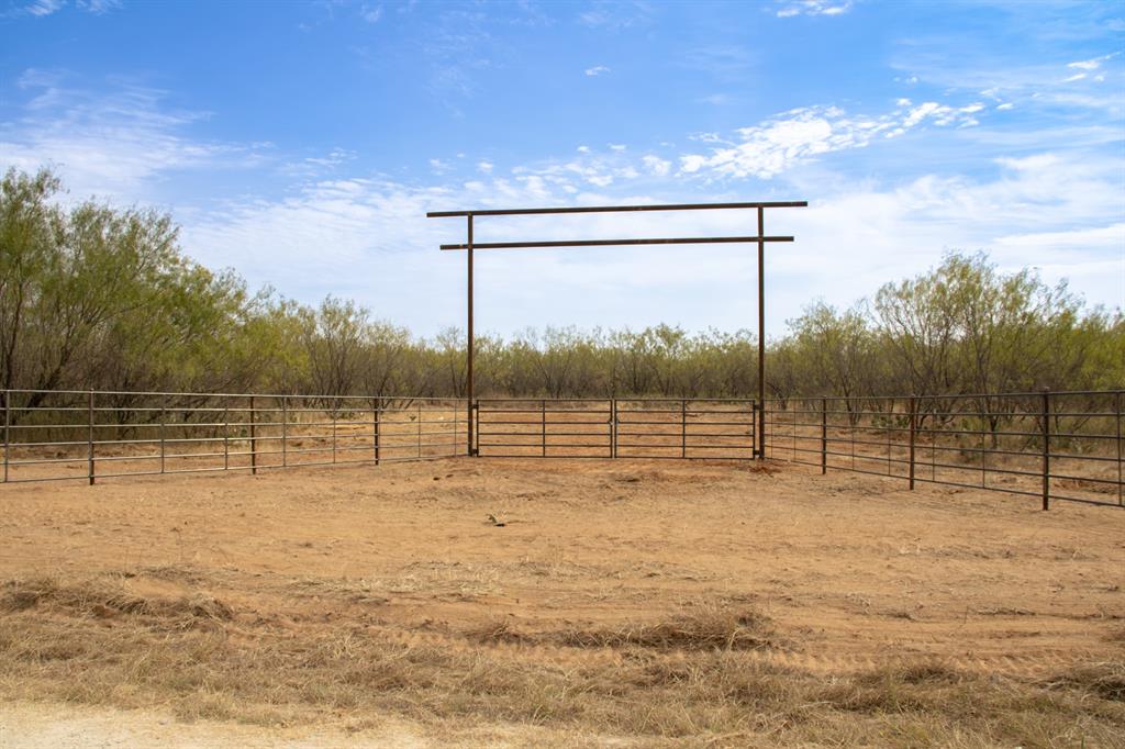 Tbd Tract 2 County Road 166 Property Photo 3