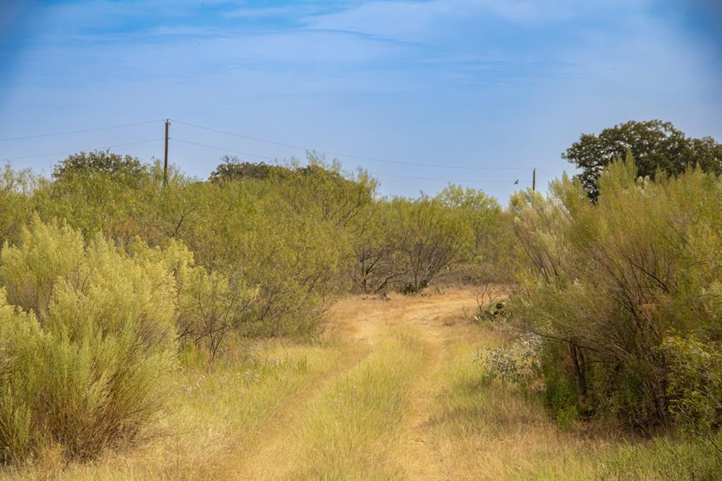Tbd Tract 4 County Road 166 Property Photo 3