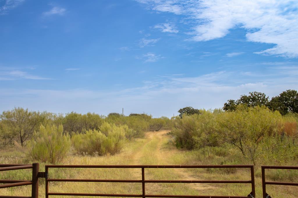 Tbd Tract 4 County Road 166 Property Photo 4