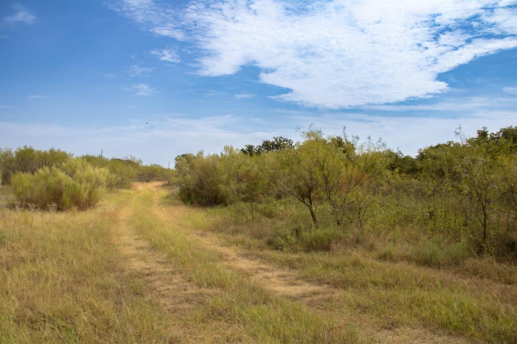 Tbd Tract 4 County Road 166 Property Photo 7
