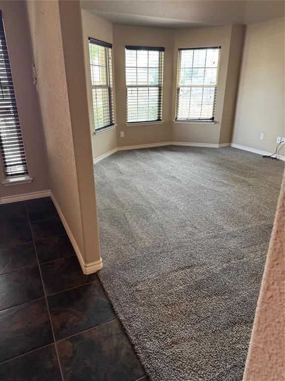 8772 Regal Royale Drive Property Photo 18