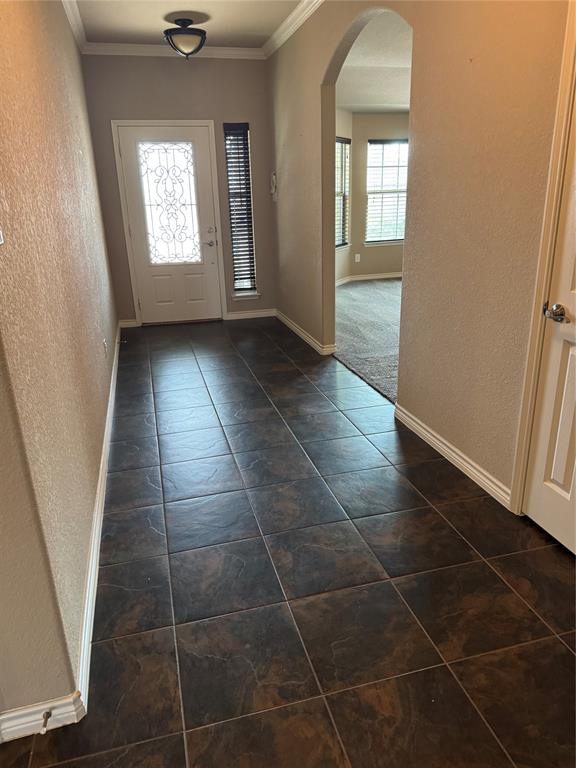 8772 Regal Royale Drive Property Photo 20