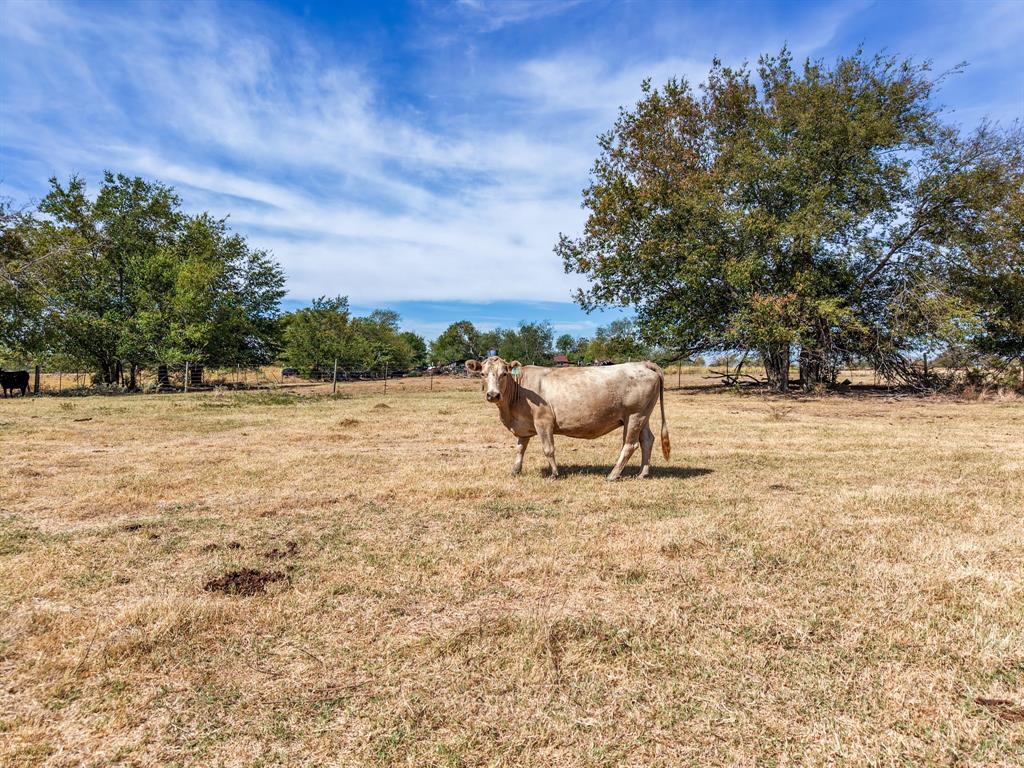 Tbd Cr 4758 Property Photo 9