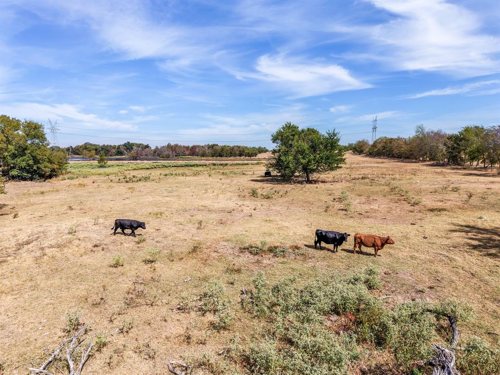 Tbd Cr 4758 Property Photo 14