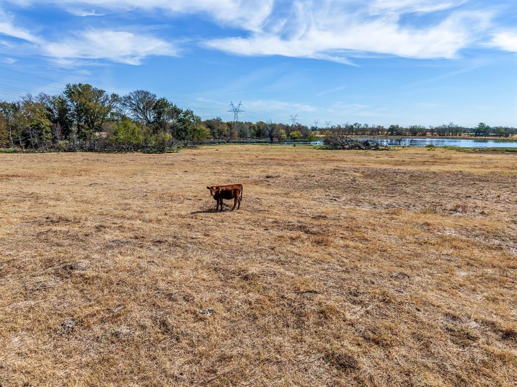 Tbd Cr 4758 Property Photo 18