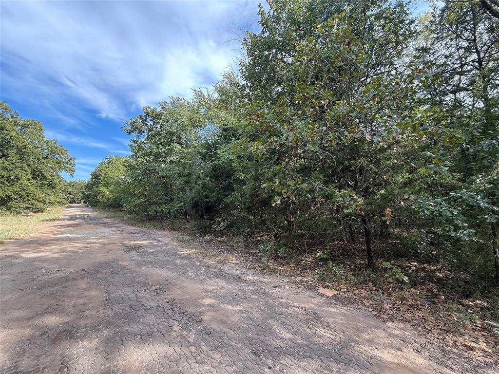 0 Tahoka Property Photo 1