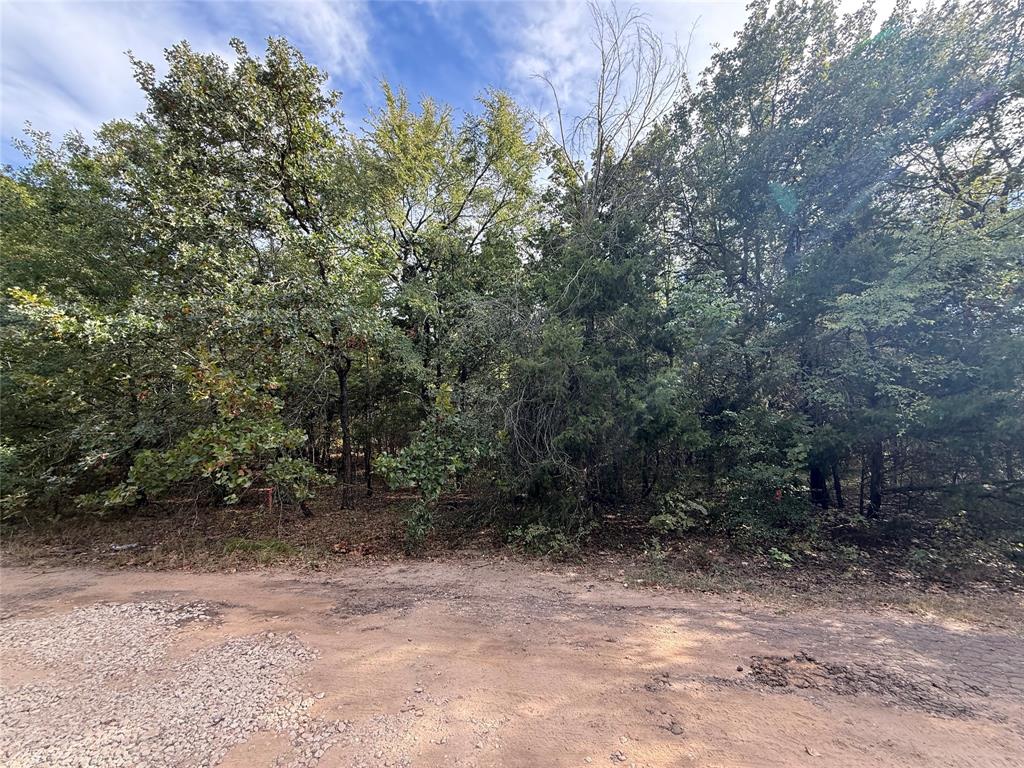 0 Tahoka Property Photo 7