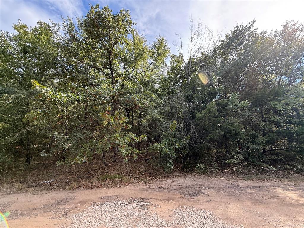 0 Tahoka Property Photo 8