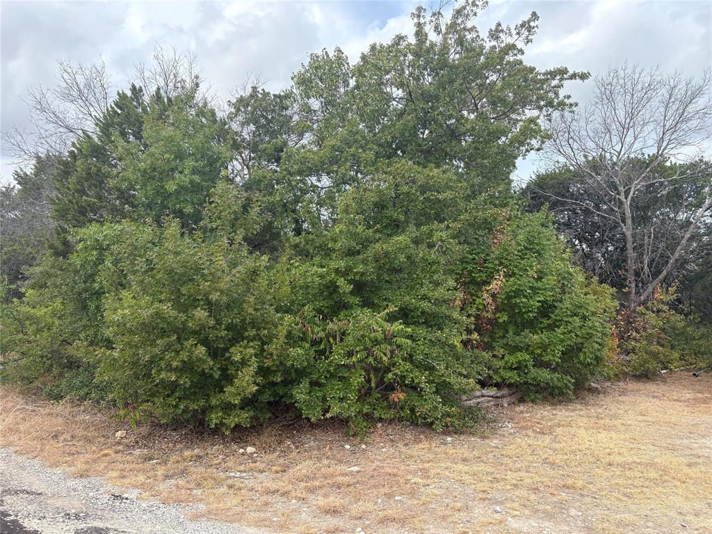 4426 W Oak Trail Property Photo 2