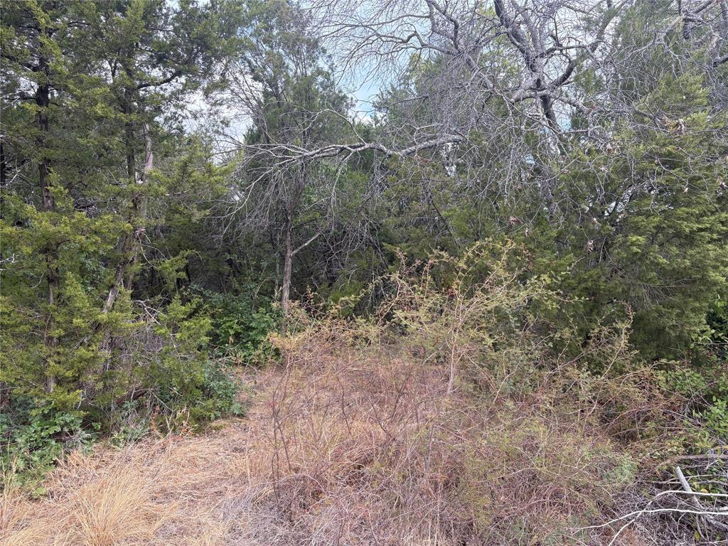4426 W Oak Trail Property Photo 4