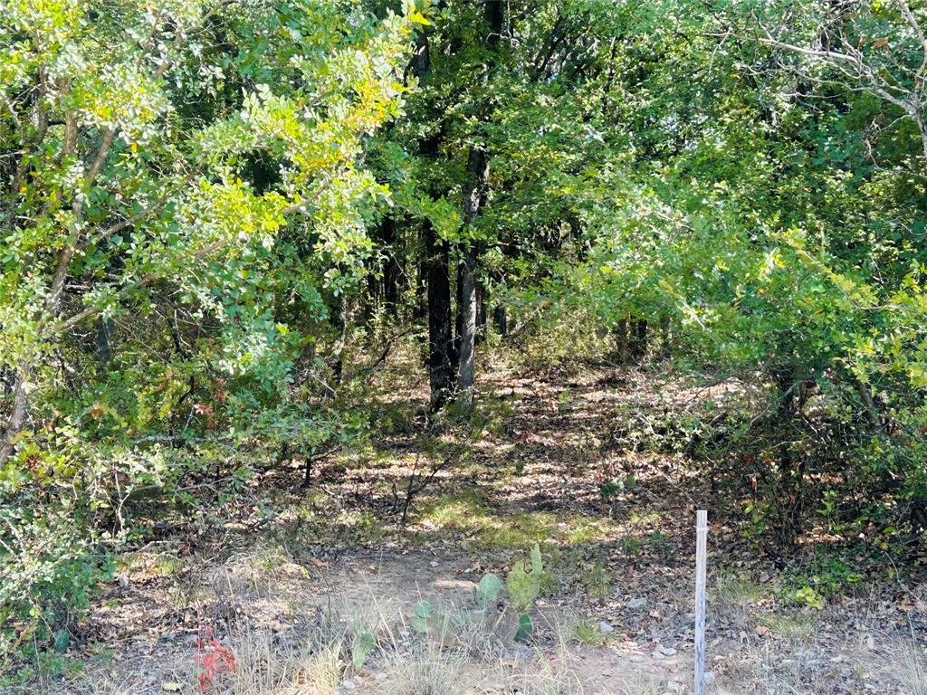 Tbd Westmeadow Dr Property Photo 3