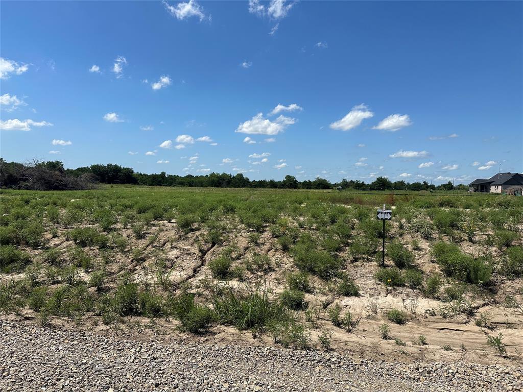 Lot 17 Co Rd 1110 Property Photo 7