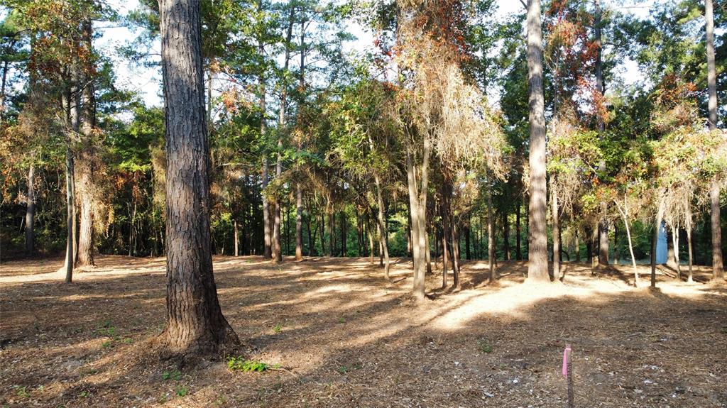 Tbd C R 192 8 Property Photo 6