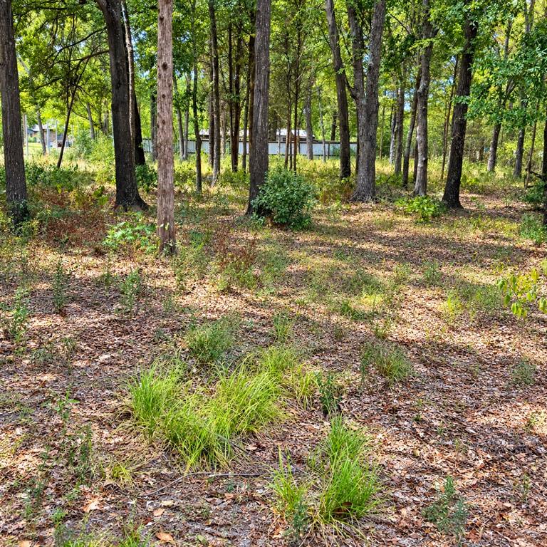0000 Tbd W. Moss Street Property Photo 1