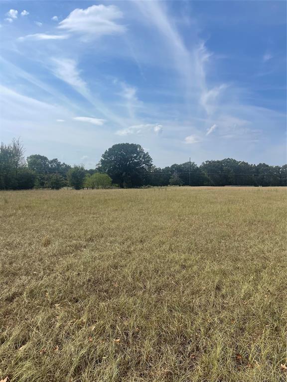 Lot 7 County Road 1560 Property Photo 1