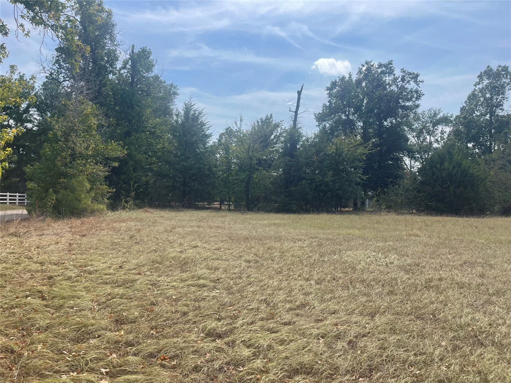 Lot 7 County Road 1560 Property Photo 2