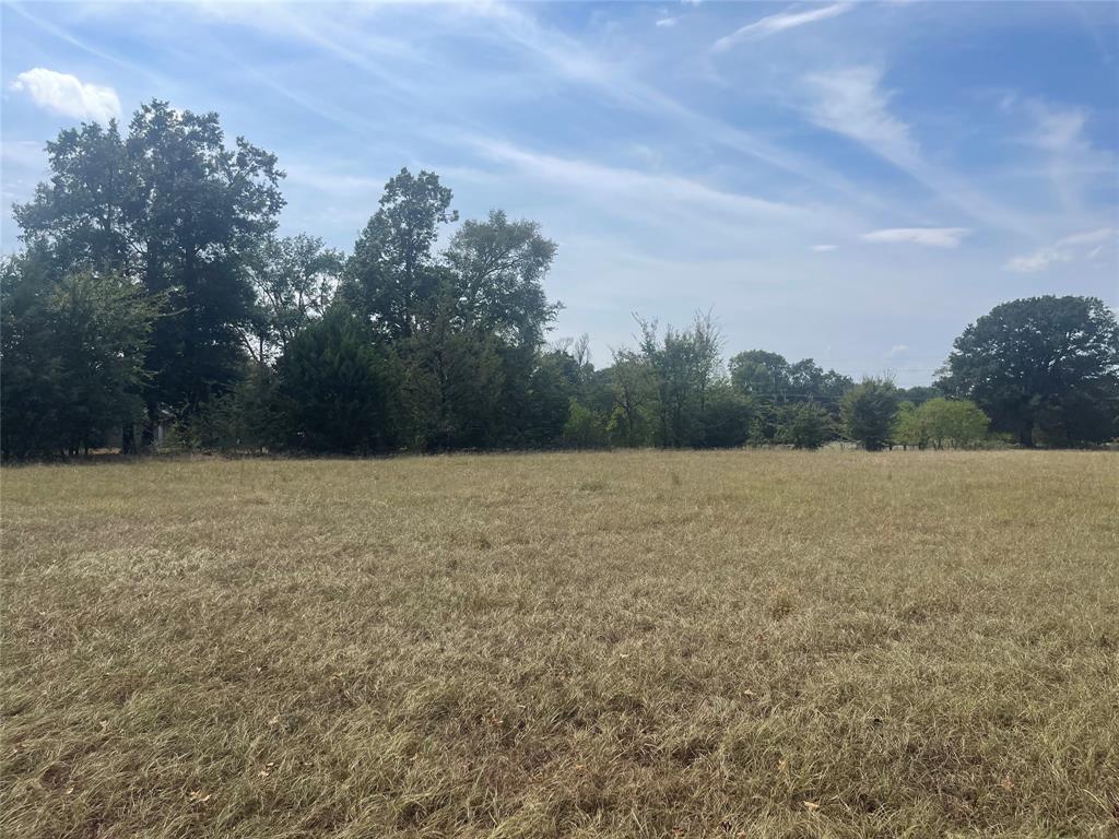 Lot 7 County Road 1560 Property Photo 4