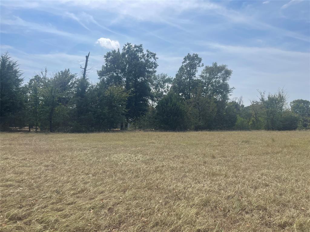Lot 7 County Road 1560 Property Photo 5