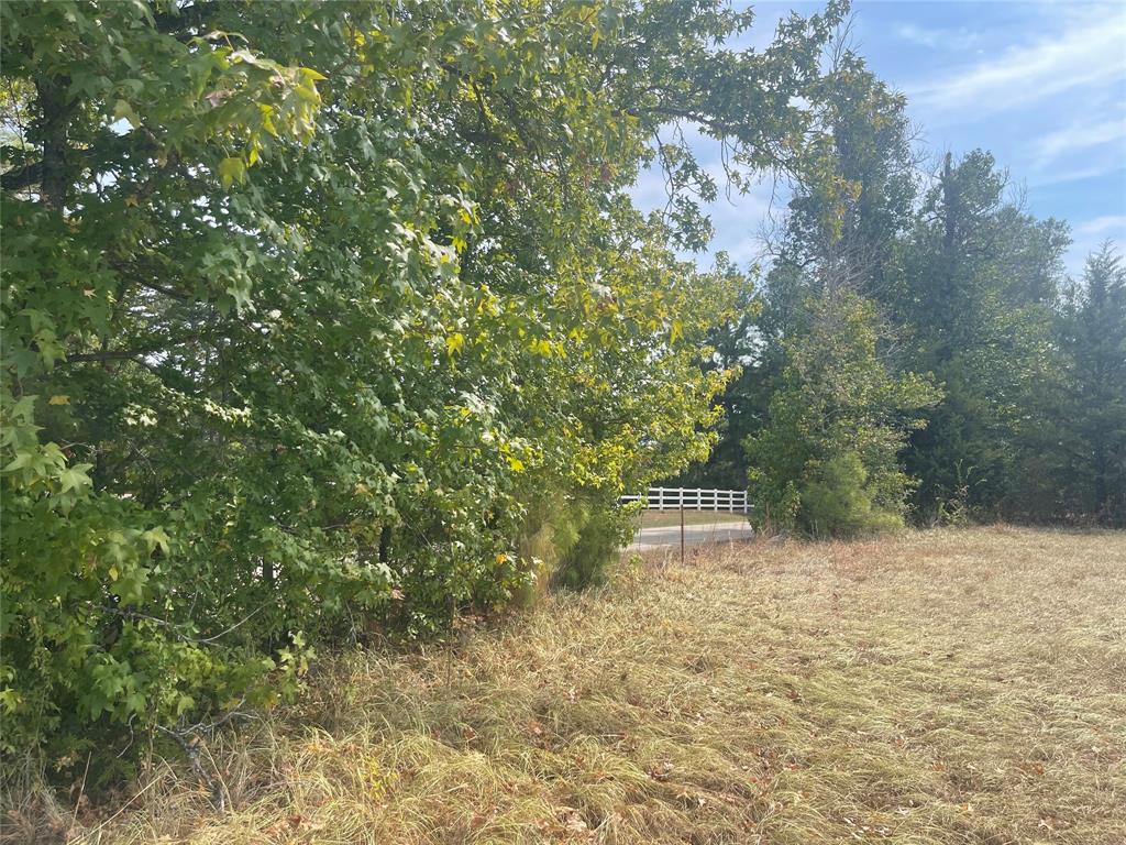 Lot 7 County Road 1560 Property Photo 9
