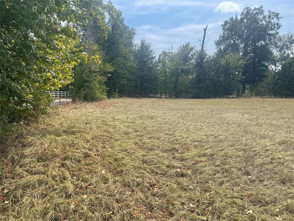 Lot 7 County Road 1560 Property Photo 12