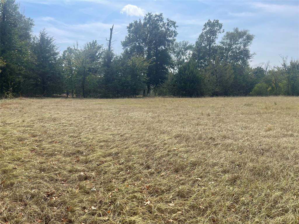 Lot 7 County Road 1560 Property Photo 13