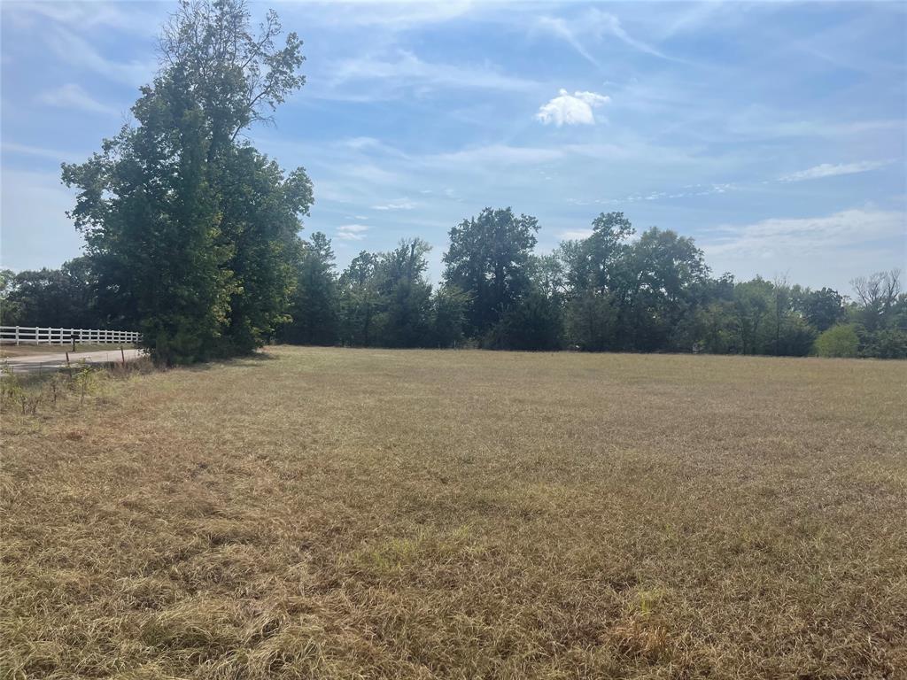 Lot 7 County Road 1560 Property Photo 14
